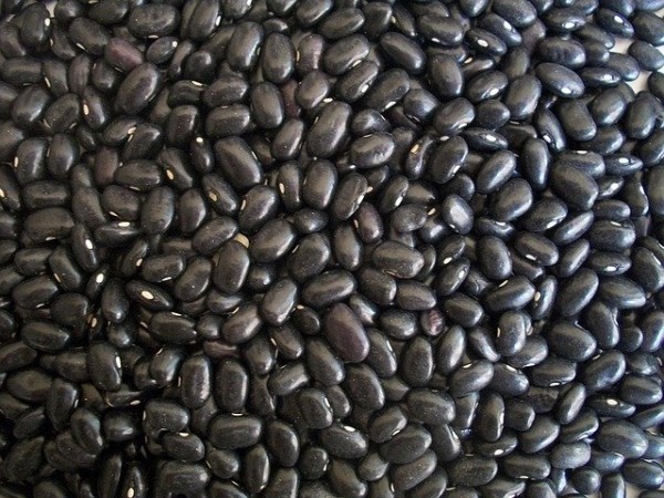 black-beans-g6ce7fa41c_640.jpg